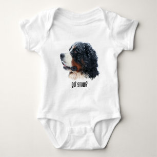 Body neige obtenue ? Chien de montagne de Bernese