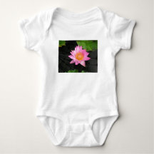 Nénuphar rose Lotus