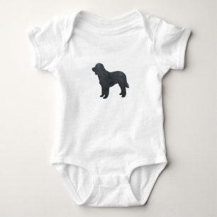 Body Oeuvre de Goldendoodle / Labradoodle
