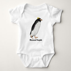 Body Palaeeudyptes Pingouin disparu