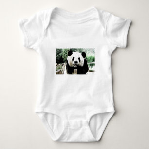 Body Panda
