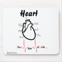 Body Parts -- Human Heart