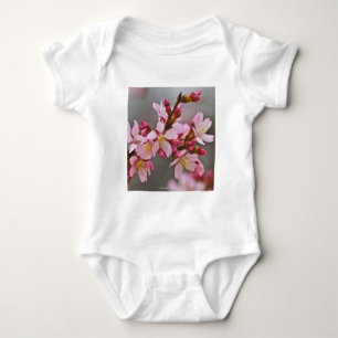 Body Pink Against A Gray Sky Japanese Cherry Blossoms