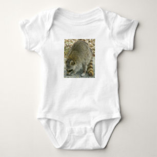 Body Raccoon sur Rock Baby Infant
