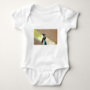 Body Ruby perché et petit colibri vert
