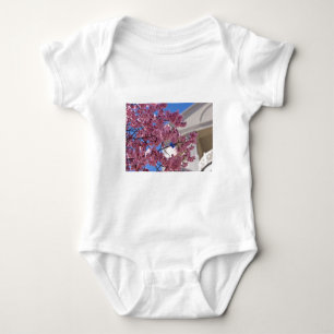 Body Sakura Cherry Blossoms