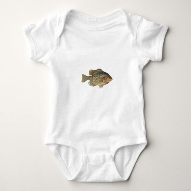 Body Sunfish de Redear - Shellcracker (Devant)