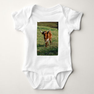 Body Texas Longhorn Cattle Cow Photo Russe