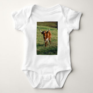 Body Texas Longhorn Cattle Cow Photo Russe