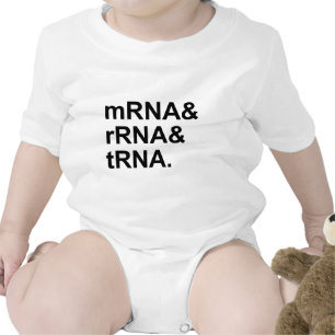 Body types d'ADN messagère ARNr ARNt d'ARN
