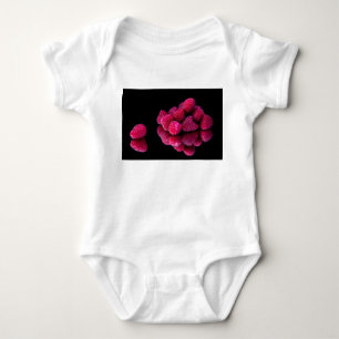 Body Vie morte framboise