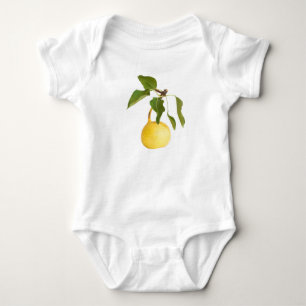Body Wild pear