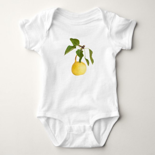 Body Wild pear (Devant)