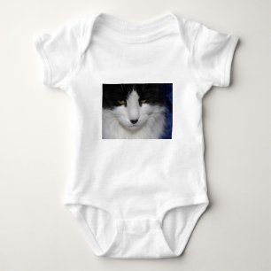 Body Yeux foncés de chat