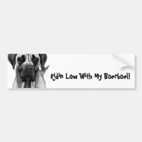 Boerboel Bumber Sticker