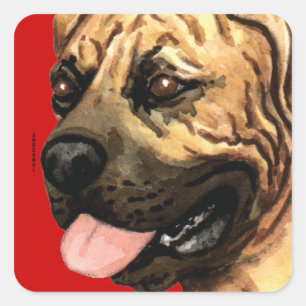 Boerboel Colour Block Square Sticker