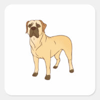 Boerboel dog