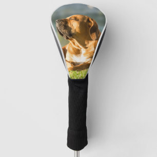 Boerboel Golf Head Cover