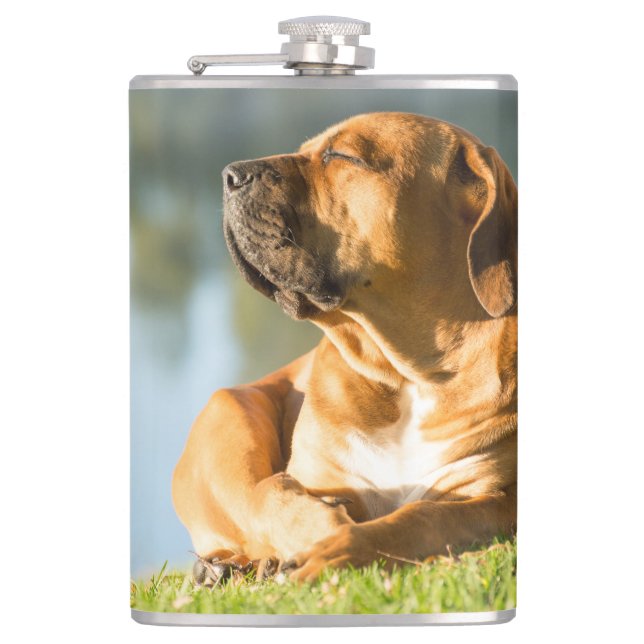 Boerboel Hip Flask (Front)