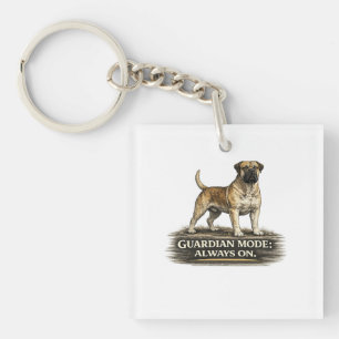 Boerboel – Mode Gardien Toujours Activé