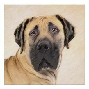Boerboel Painting - Cute Original Dog Art Poster