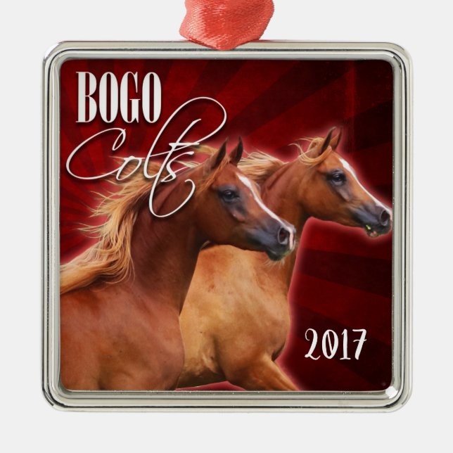 BOGO Burst 2017 Ornament (Front)
