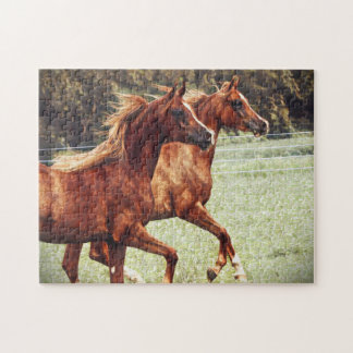 BOGO Colts Artistic Puzzle