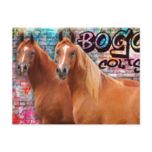 BOGO Colts - Graffiti Post Card - Arabian Horses