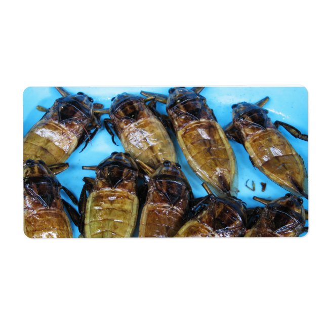 Bogue d'eau géante frite (Maeng Daa) ... Alimentat (Devant)