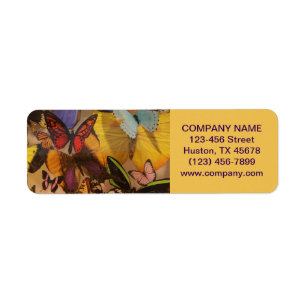 Bohème Yoga Zen Holistic Healing papillon