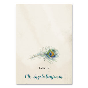 Bohemian Peacock Feather Vintage Teal Place Card
