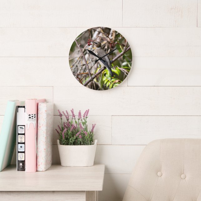 Bohemian Waxwing, Canadian Avian Photography Large Clock (Reading Room)