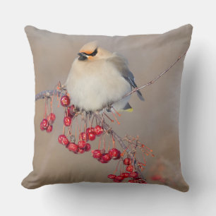 Bohemian waxwing in winter, Canada Throw Pillow