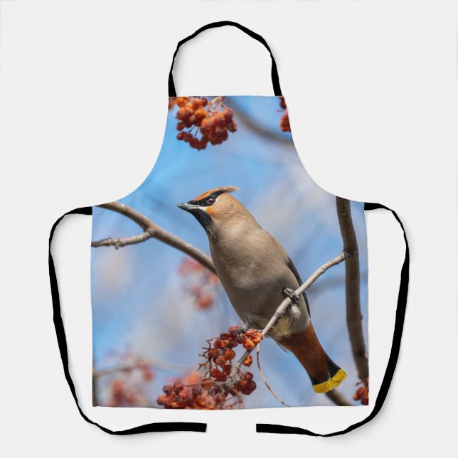 Bohemian Waxwing, Majestic Bird Apron (Front)