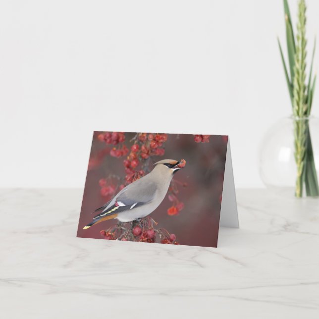 Bohemian Waxwing Notecards (Front)