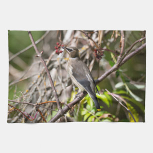 Bohemian Waxwing, Resting On a Branch Kitchen Towel