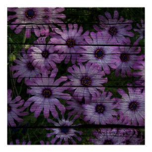 Bohemian Western Country Barn Board purple daisy Poster