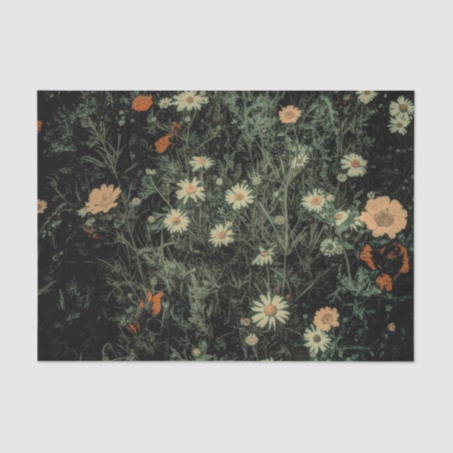 bohemian white daisy wildflower black floral tissue paper (Front)