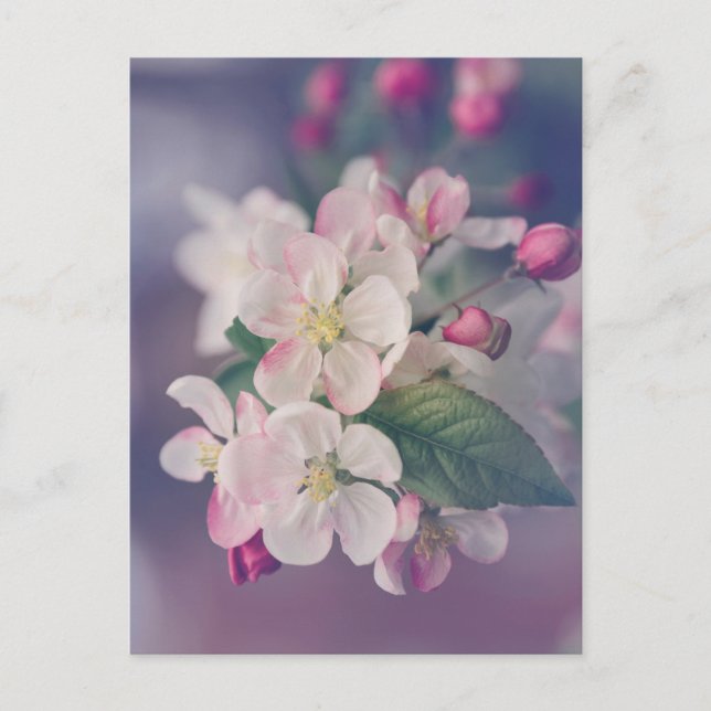 Boho Aesthetic Post Card 018 (Front)