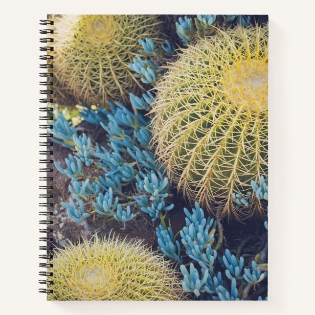 Boho Cactus Garden Notebook (Front)