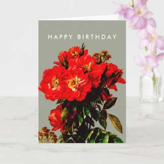 Boho Chic Happy Birthday Red Roses Sage Green Card