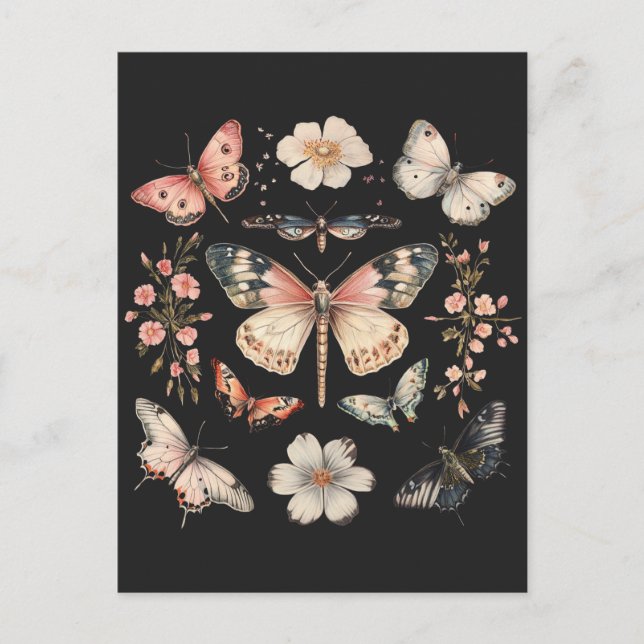 Boho Cottagecore Monarch Butterfly  Postcard (Front)