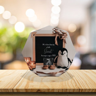 Boho earthy neutral pregnancy announcement photo block
