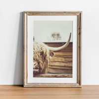 Boho Highland Cow Wall Art
