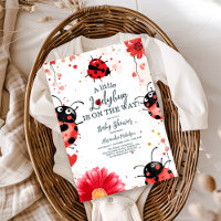 Boho Little Ladybug Baby Shower