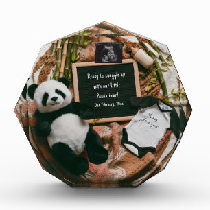 Boho neutral Pregnancy Announcement Cute Panda Photo Block