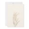 Boho summer pampas grass watercolor bridal shower