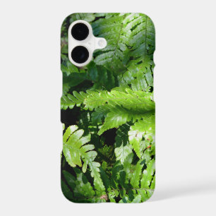 Boho vert clair Fougères de la forêt printanière