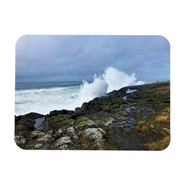 Boiler Bay State Wayside, Depoe Bay, Oregon Magnet (Horizontal)