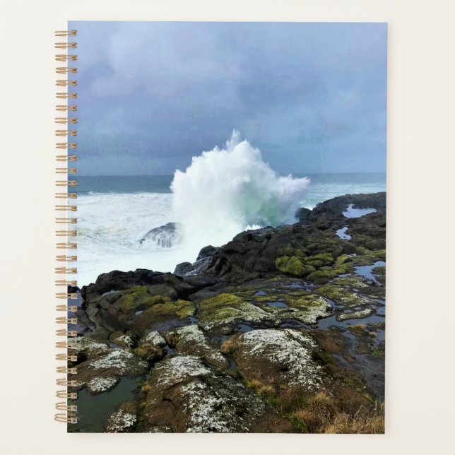 Boiler Bay State Wayside, Depoe Bay, Oregon Planner (Front)